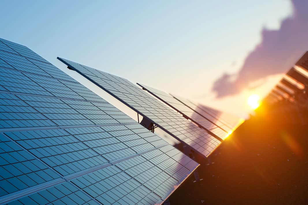 Angled shot of solar panels in a row.