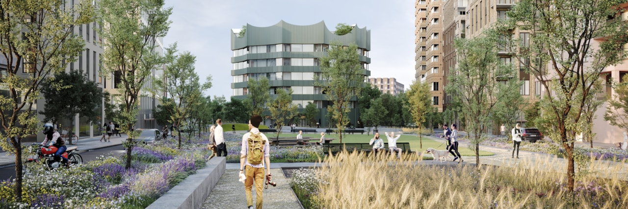 Vision image of the area.