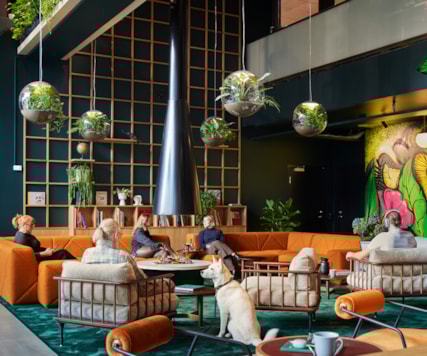 Lounge with people and a dog