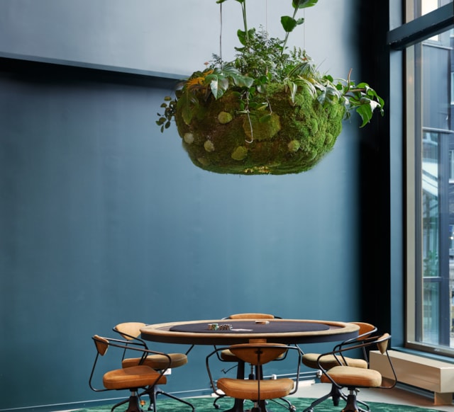 A round table with chairs and a big plant hanging over it.