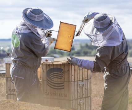 Two bee keepers working.