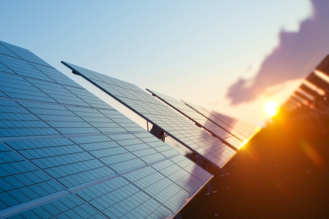 Angled shot of solar panels in a row.