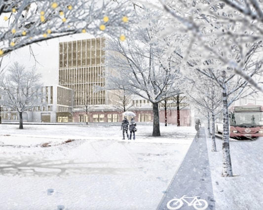 Vision image of the area winter time.